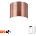 Immax NEO 07319L - dimmbare LED-Deckenleuchte RONDATE LED/18W/230V Ø 11,5 cm Wi-Fi Tuya Roségold