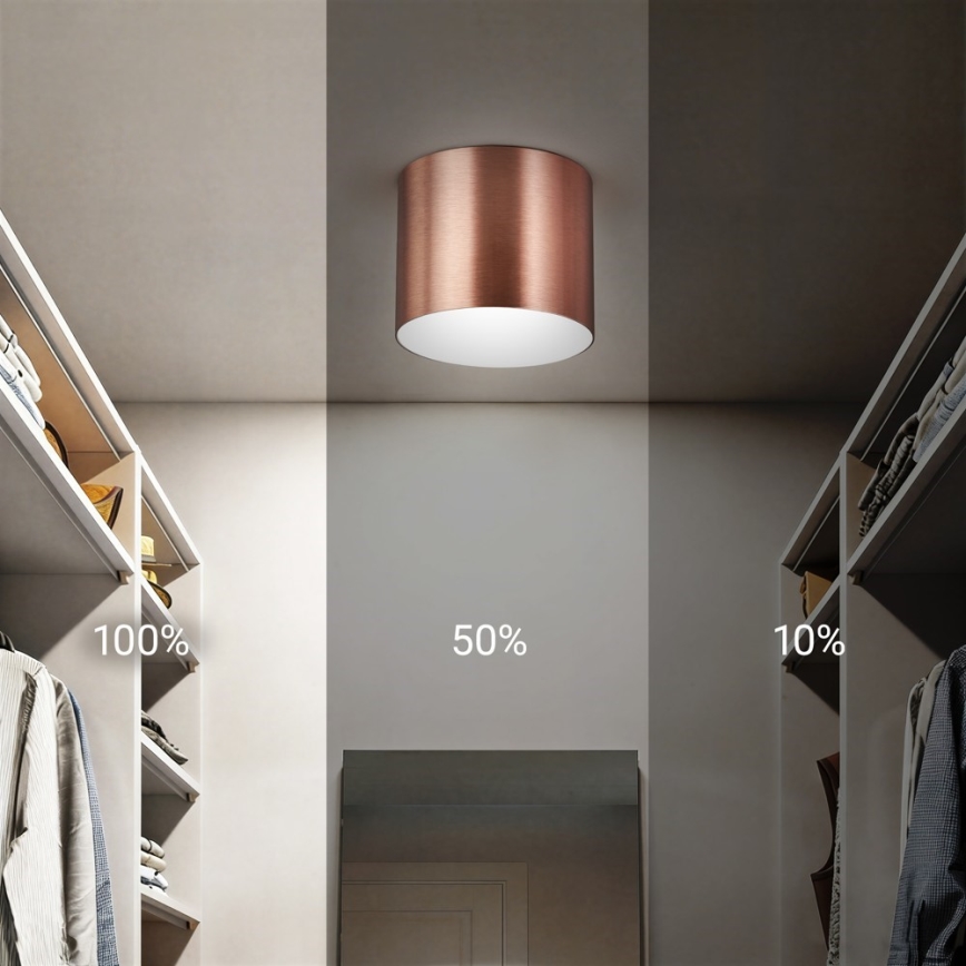 Immax NEO 07319L - dimmbare LED-Deckenleuchte RONDATE LED/18W/230V Ø 11,5 cm Wi-Fi Tuya Roségold