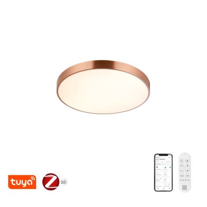 Immax NEO 07321L - LED-dimmbare Deckenleuchte NEO LITE SEMPLICI LED/36W/230V Ø 40 cm Tuya Roségold + Fernbedienung