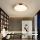 Immax NEO 07321L - LED-dimmbare Deckenleuchte NEO LITE SEMPLICI LED/36W/230V Ø 40 cm Tuya Roségold + Fernbedienung