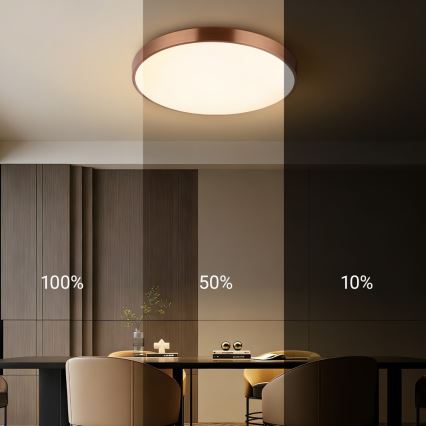 Immax NEO 07322L - dimmbare LED-Deckenleuchte NEO LITE SEMPLICI LED/60W/230V Ø 60 cm Tuya Roségold + Fernbedienung
