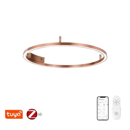 Immax NEO 07326-80C - dimmbare LED-Deckenleuchte FINO LED/55W/230V 80 cm Tuya Roségold + Fernbedienung