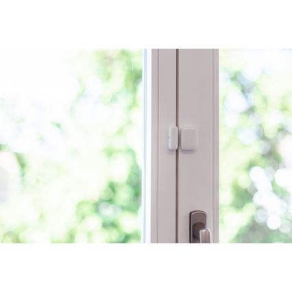 Immax NEO 07511L - SET 2x Magnetischer Fenster- und Türsensor SMART 1xCR2032  Zigbee Tuya