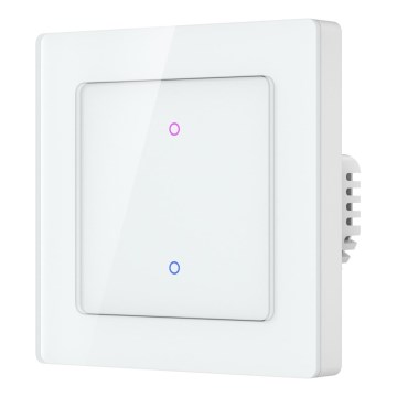 Immax NEO 07539L - 2-Tasten-Smart-Schalter 230 V Wi‑Fi (Tuya)