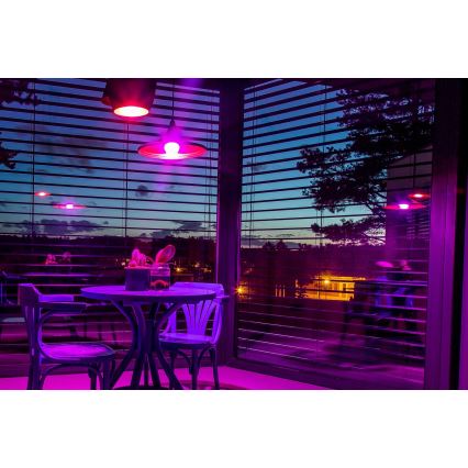 Immax NEO 07745CDO - 3er-Set dimmbare LED RGB+CCT-Glühbirnen E14/6W/230V Tuya Wi-Fi + Fernbedienung