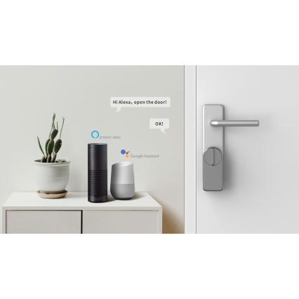Immax NEO 07815L - Smartes Türschloss mit Tastenfeld 4xAA + 2xAA Tuya