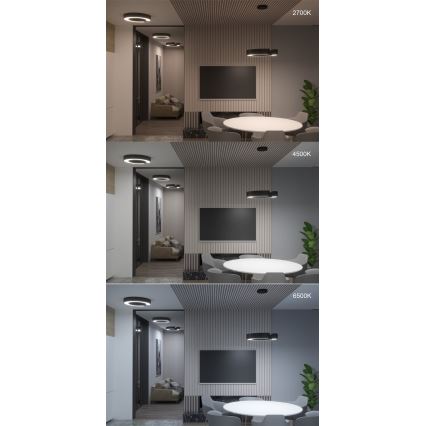 Immax NEO 7133 - LED SMART Dimmbare Deckenleuchte CÉČKO LED/52W/230V + Fernbedienung 60 cm Tuya ZigBee