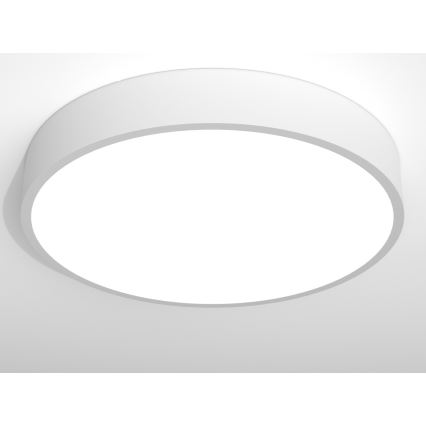 Immax NEO RONDATE - LED Fernbedienbare Deckenleuchte LED/65W/230V