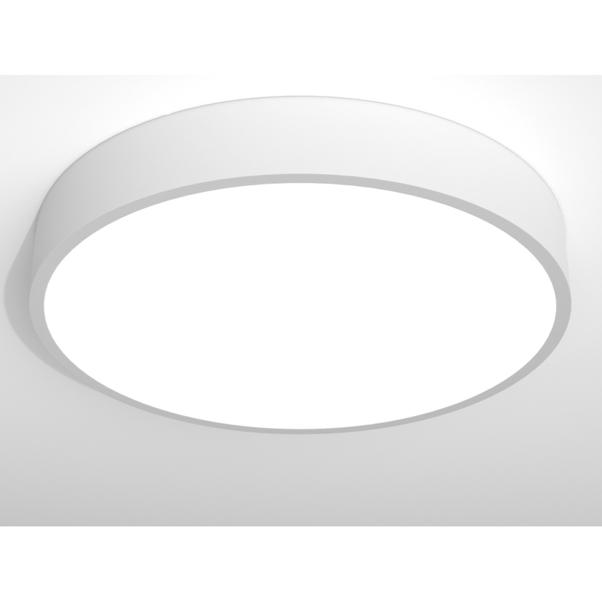 Immax NEO RONDATE - LED Fernbedienbare Deckenleuchte LED/65W/230V