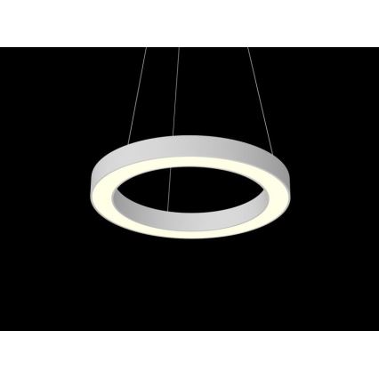 Immax NEO - Dimmbare LED Hängeleuchte PASTEL LED/52W/230V 60 cm weiß Tuya