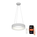 Immax NEO - LED-Kronleuchter an Schnur mit einer Fernbedienung AGUJERO LED/30W/230V 45 cm + FB Tuya
