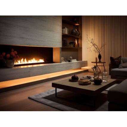 InFire - BIO-Einbaukamin 7,5x120 cm 7kW schwarz