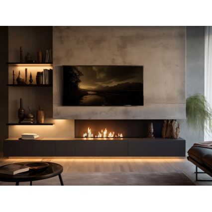 InFire - BIO-Einbaukamin 8,5x100 cm 6kW schwarz