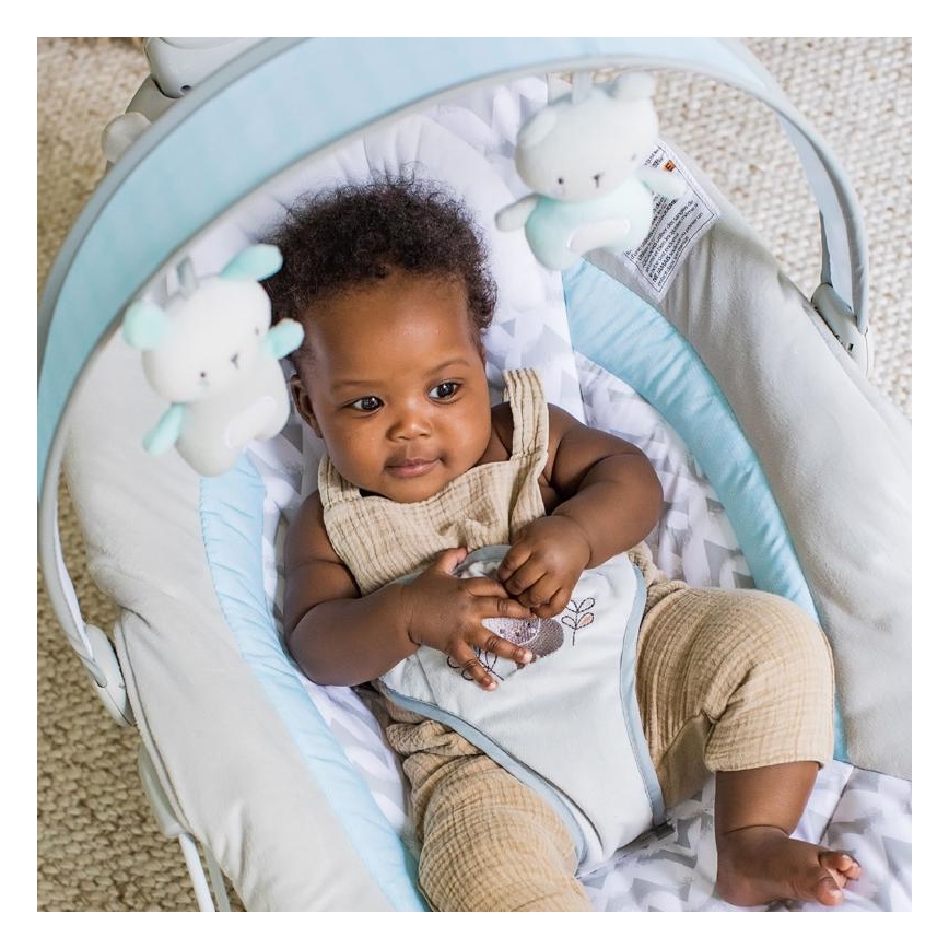 Ingenuity - Babywippe mit Vibration und Melodie RAYLAN 3xLR14