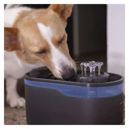 Intelligenter Wasserspender für Haustiere 2,6 l/5V grau mit Wi-Fi