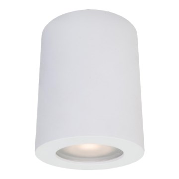 ITALUX - Außenstrahler FAUSTO 1xGU10/40W/230V IP44 Weiß