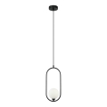 ITALUX - Hängeleuchte an Kabel LUPUS 1xG9/25W/230V schwarz