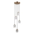 ITALUX - Hängeleuchte an Kabel TORNO 5xE14/40W/230V goldfarben