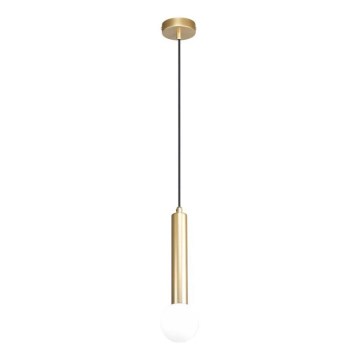 ITALUX - Hängeleuchte an Stahlseil FILANO 1xG9/5W/230V goldfarben