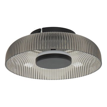 ITALUX - LED-Deckenleuchte PASSO LED/8W/230V 3000K Ø 25 cm rauchschwarz