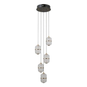 ITALUX - LED-Pendelleuchte ALANI an Stahlseil 5xLED/5,6W/230V 3000K schwarz/gold