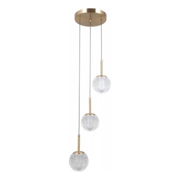 ITALUX - Pendelleuchte PADRI mit Kabelabhängung 3xG9/5W/230V goldfarben