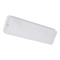 Iverlux s-41160 - LED-Notleuchte ALPHA LED/1,4W/230V IP65