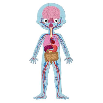 Janod - Kinder-Lernpuzzle 225 Stück menschlicher Körper
