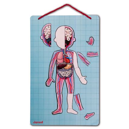 Janod - Magnetisches Puzzle BODYMAGNET menschlicher Körper