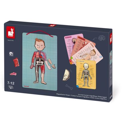 Janod - Magnetisches Puzzle BODYMAGNET menschlicher Körper
