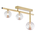 Jupiter 1898 - Aufputz-Deckenleuchte NEPTUN 3xG9/14W/230V gold