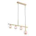 Jupiter 1899 - Pendelleuchte an Kabel NEPTUN 4xG9/14W/230V goldfarben
