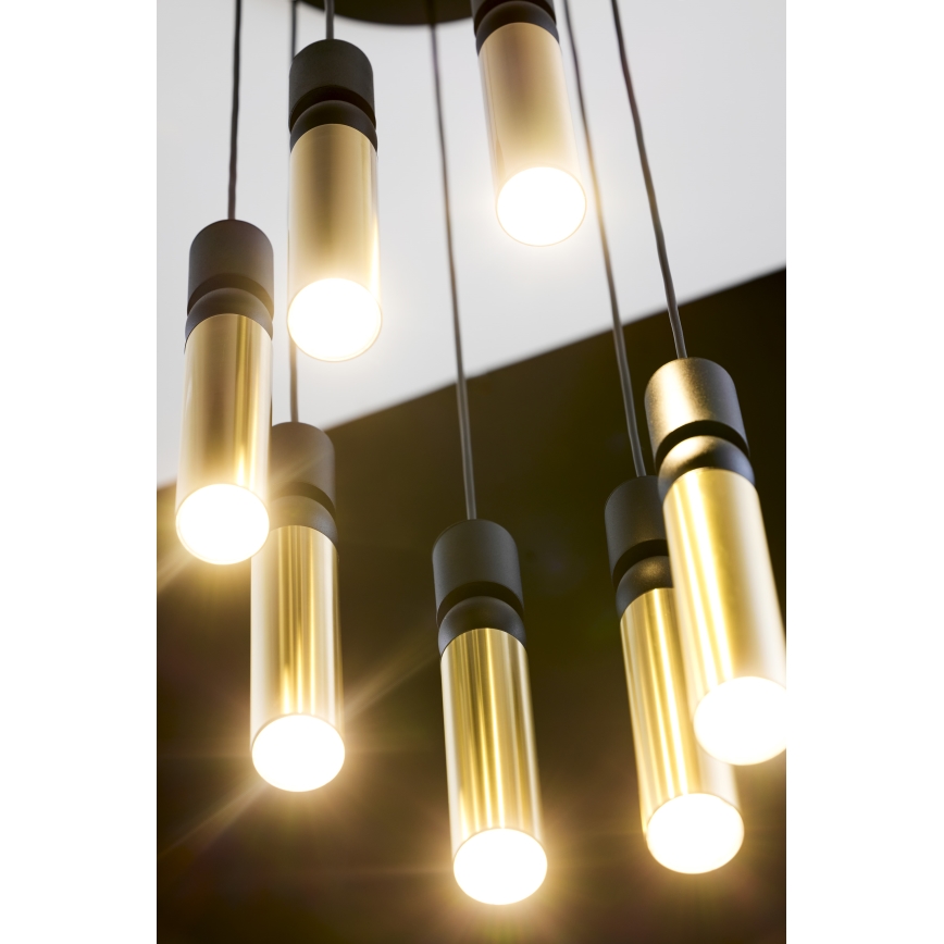 Jupiter 2018 - Hängeleuchte an Schnur ALAS 7xGU10/10W/230V golden/schwarz