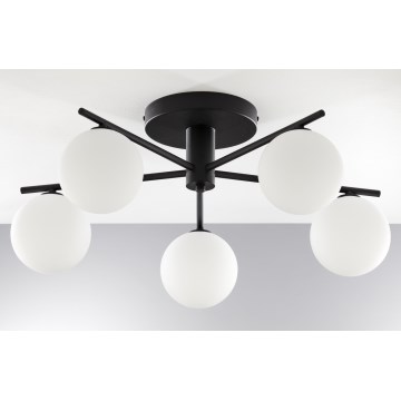 Jupiter 2049 - Aufgesetzte Deckenleuchte PRATO 5xG9/14W/230V schwarz/weiß