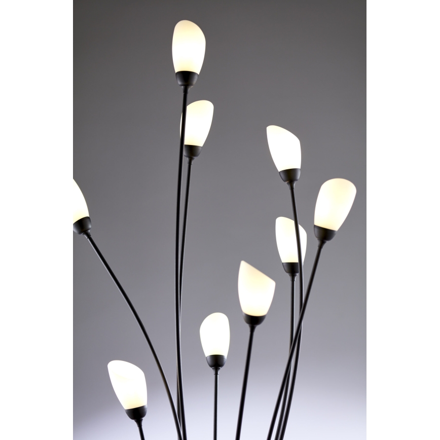 Jupiter 2058 - Stehleuchte GLORIOSA 9xG9/14W/230V schwarz