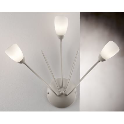 Jupiter 2064 - Wandleuchte GLORIOSA 3xG9/14W/230V cremefarben