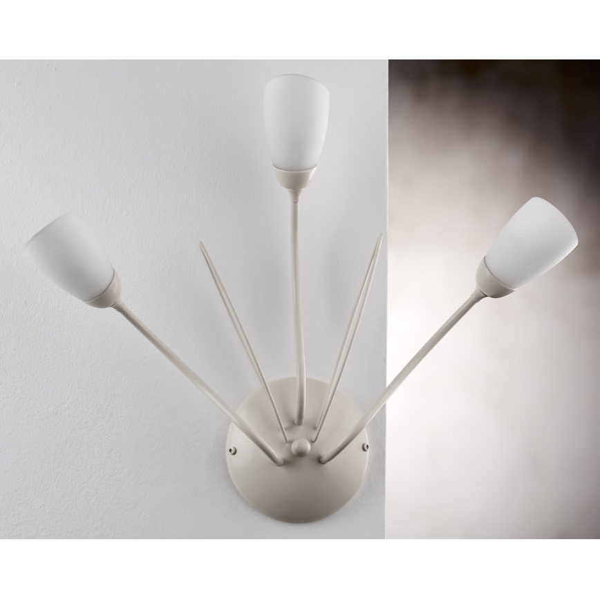 Jupiter 2064 - Wandleuchte GLORIOSA 3xG9/14W/230V cremefarben