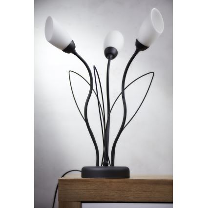 Jupiter 2065 - Tischleuchte GLORIOSA 3xG9/14W/230V schwarz