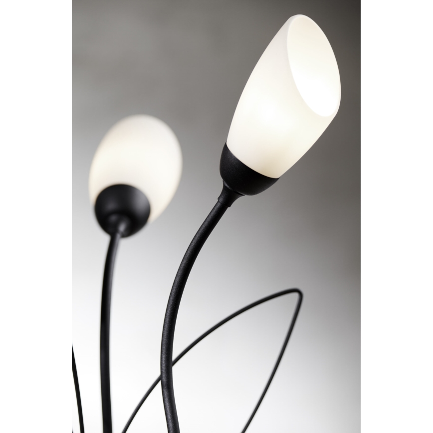 Jupiter 2065 - Tischleuchte GLORIOSA 3xG9/14W/230V schwarz