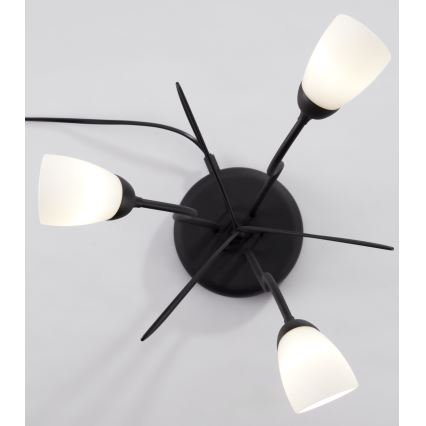 Jupiter 2065 - Tischleuchte GLORIOSA 3xG9/14W/230V schwarz