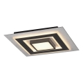 JUST LIGHT. 14439-21 - LED-Deckenleuchte CICHIO LED/18,5W/230V + LED/9W 40x40 cm schwarz