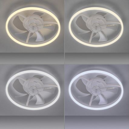 JUST LIGHT. 14624-16 - Dimmbarer LED-Deckenventilator mit Licht RITA LED/22W/230V 3000-6000K Ø 50 cm weiß + Fernbedienung