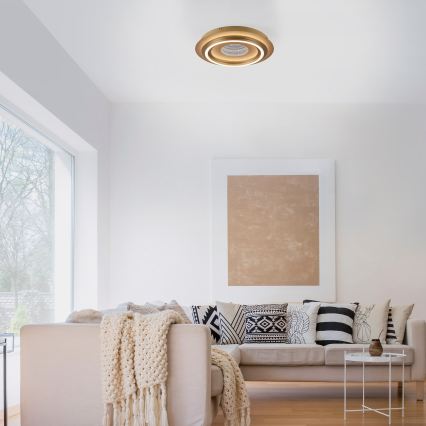 JUST LIGHT. 15089-60 - LED-Deckenleuchte CICHIO LED/36W/230V Ø 40 cm goldfarben