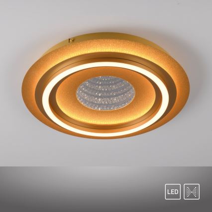 JUST LIGHT. 15089-60 - LED-Deckenleuchte CICHIO LED/36W/230V Ø 40 cm goldfarben