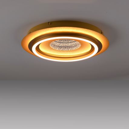 JUST LIGHT. 15089-60 - LED-Deckenleuchte CICHIO LED/36W/230V Ø 40 cm goldfarben