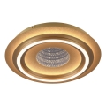 JUST LIGHT. 15089-60 - LED-Deckenleuchte CICHIO LED/36W/230V Ø 40 cm goldfarben