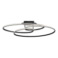 JUST LIGHT. 15321-18 - LED-Deckenleuchte LUMACA LED/33W/230V schwarz