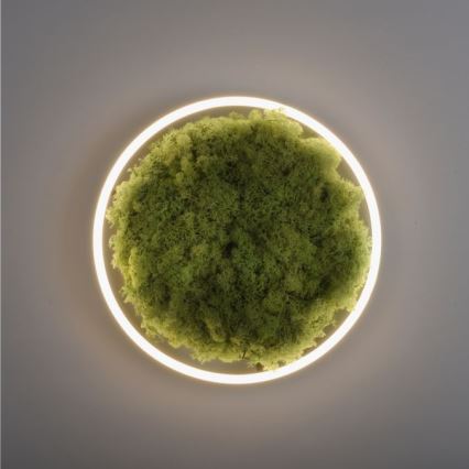 JUST LIGHT. 15391-66 - Dimmbare LED-Deckenleuchte GRÜN RITU LED/20W/230V