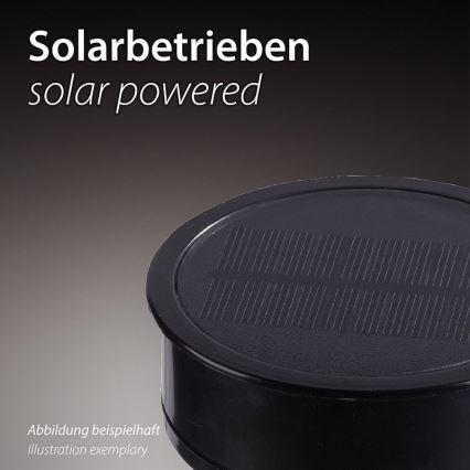 JUST LIGHT. 19106-18-3 - SET 3x LED-Solarleuchte FACKEL LED/0,24W/1,2V 200 mAh IP44 schwarz