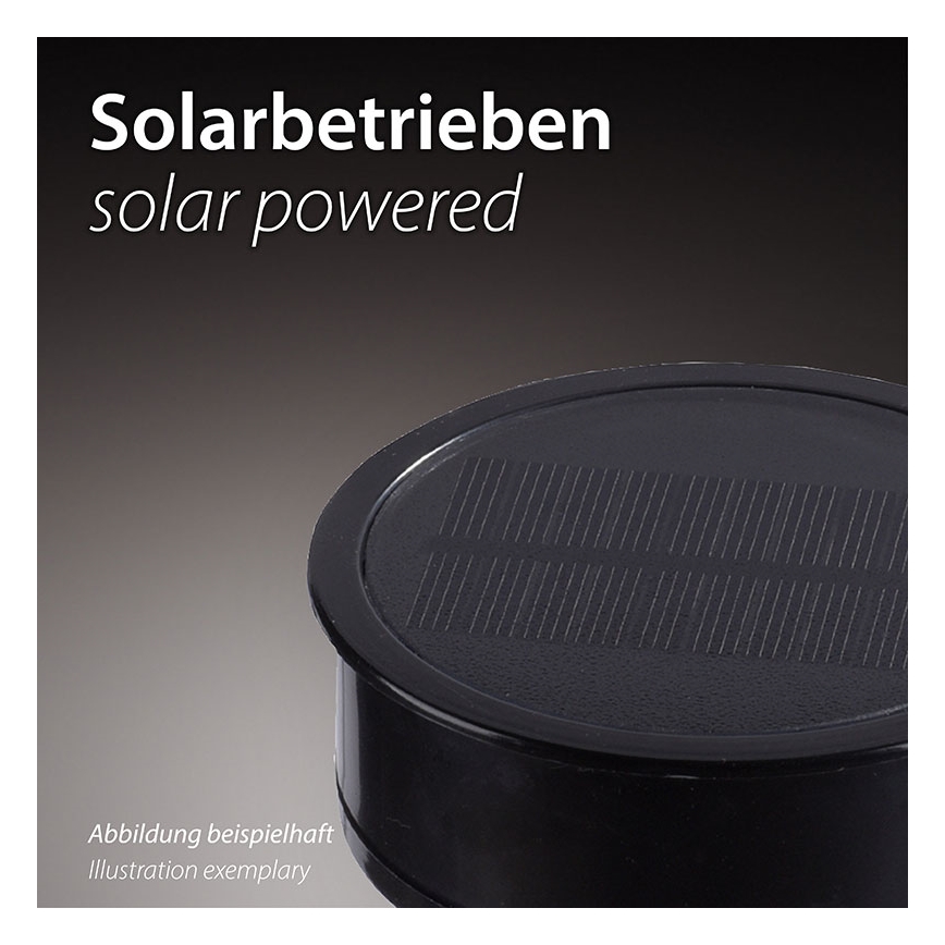 JUST LIGHT. 19106-18-3 - SET 3x LED-Solarleuchte FACKEL LED/0,24W/1,2V 200 mAh IP44 schwarz